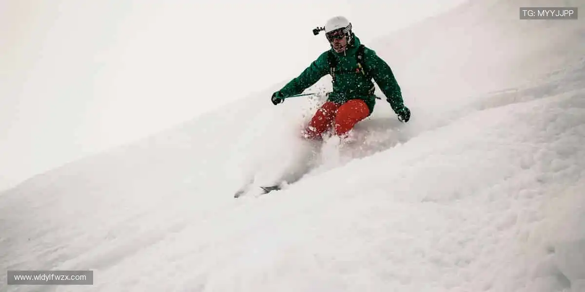 🏀实时数据加持，解读比赛新视角！