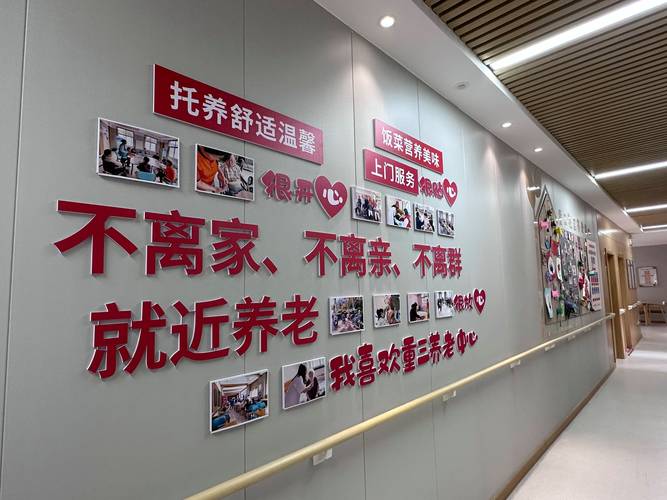 洛阳市居家社区养老服务体系建设推进会在现场观摩中迈出新步伐